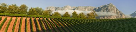 views-onto-the-klein-drakenstein-and-chardonnay-vineyards