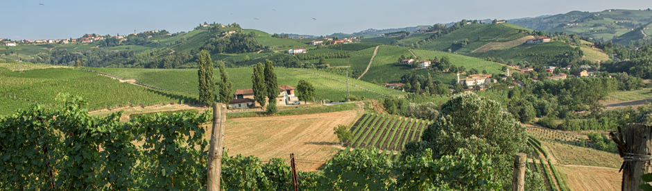 Gaja Barbararesco 2017: elegantie, structuur en sappig fruit