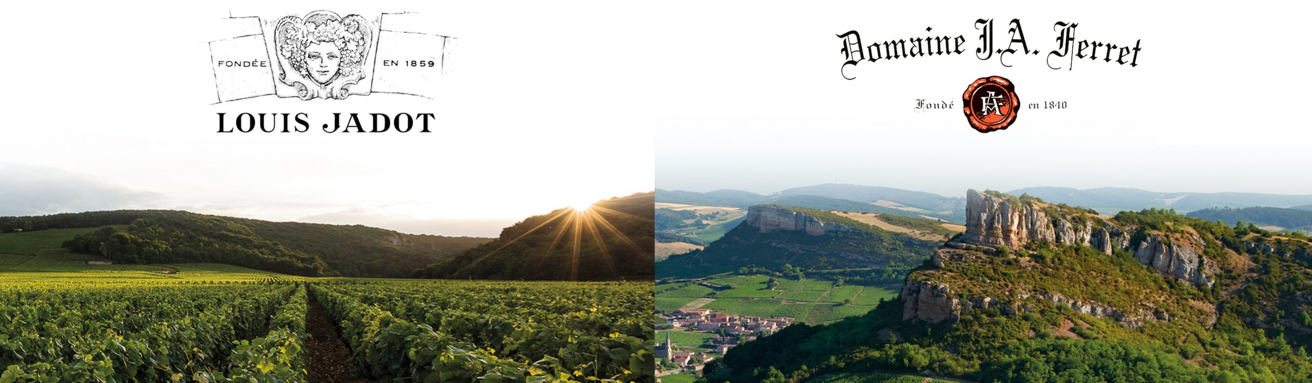 Louis Jadot & Domaine Ferret 2019