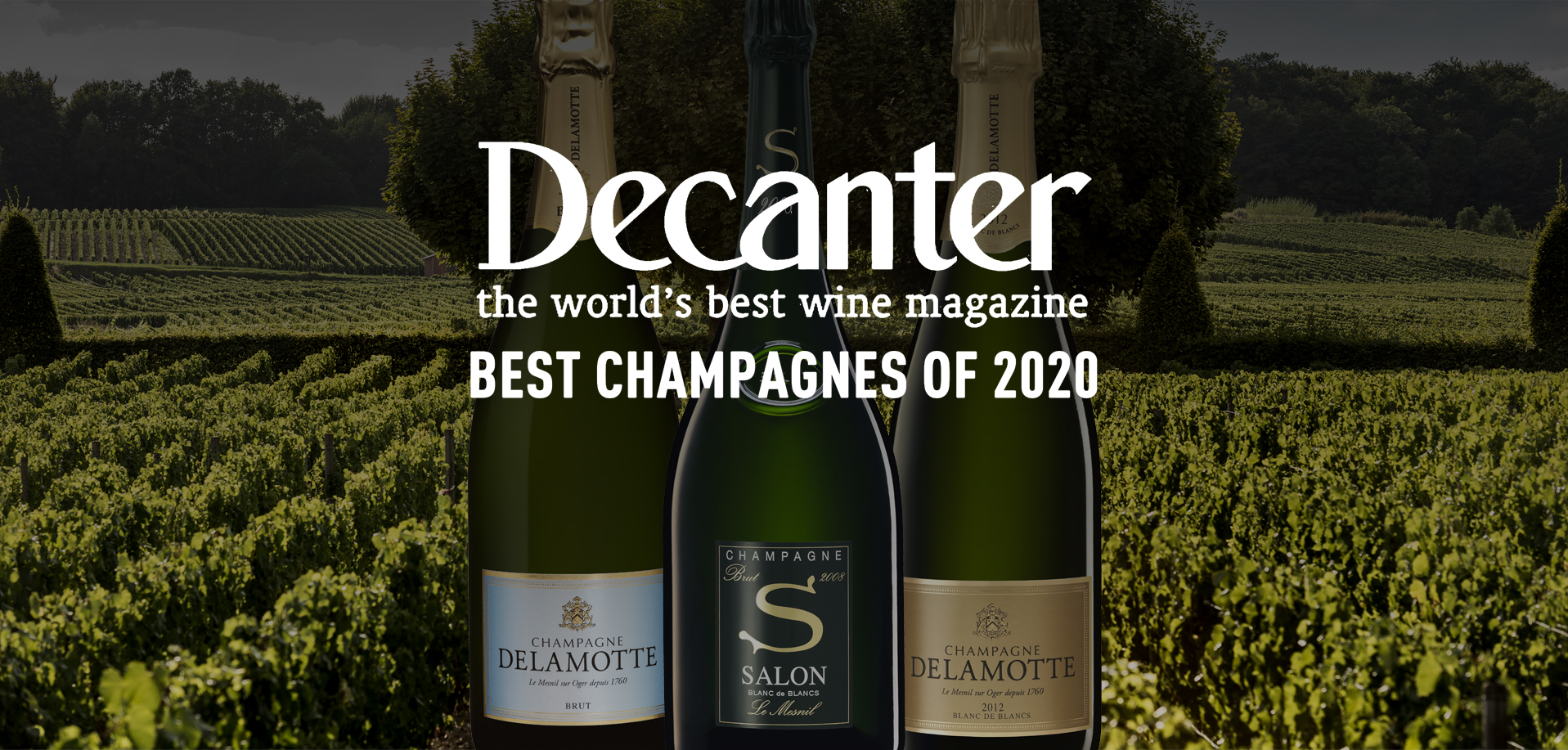 Salon & Delamotte beste champagnes 2020 volgens Decanter