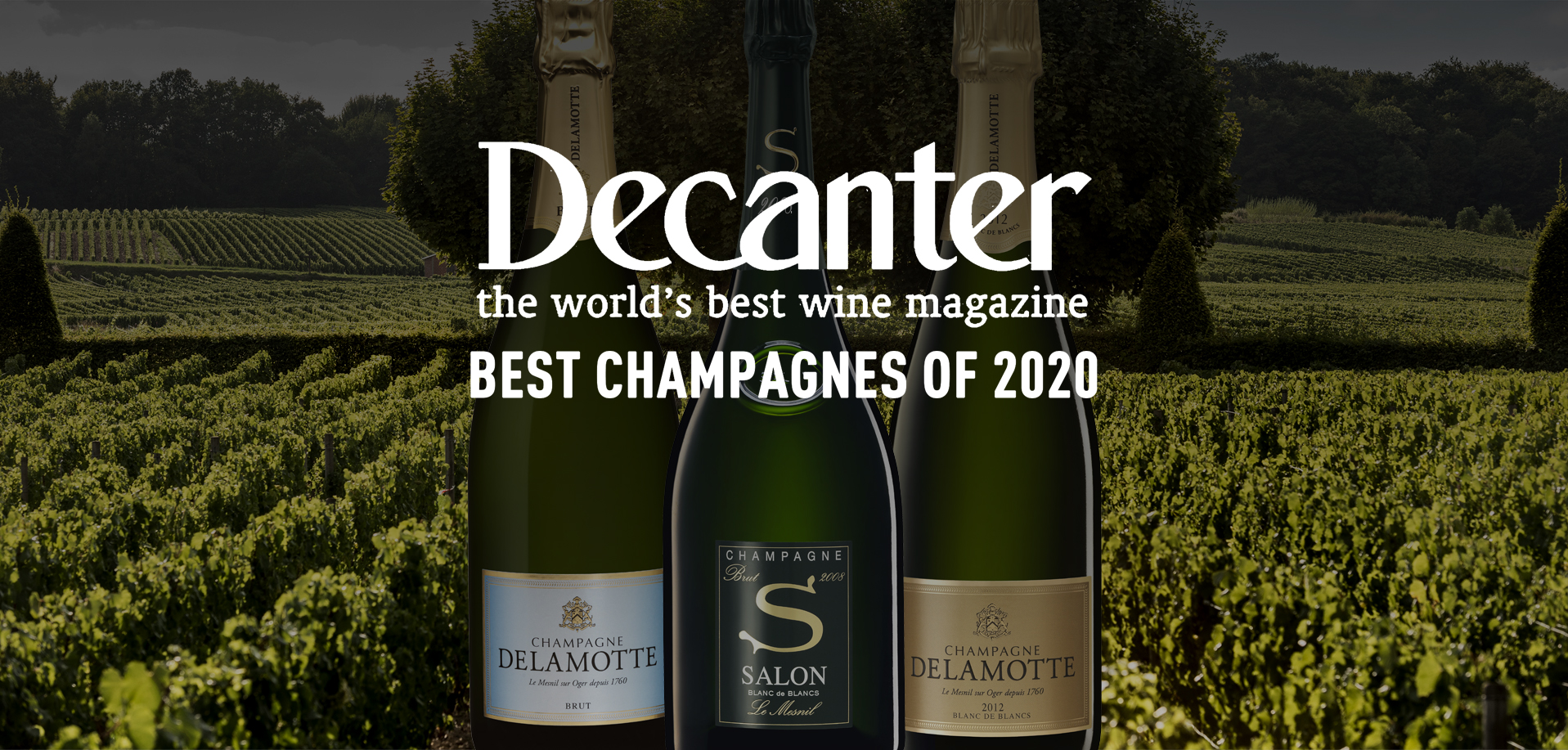 Salon en Delamotte champagnes Decanter