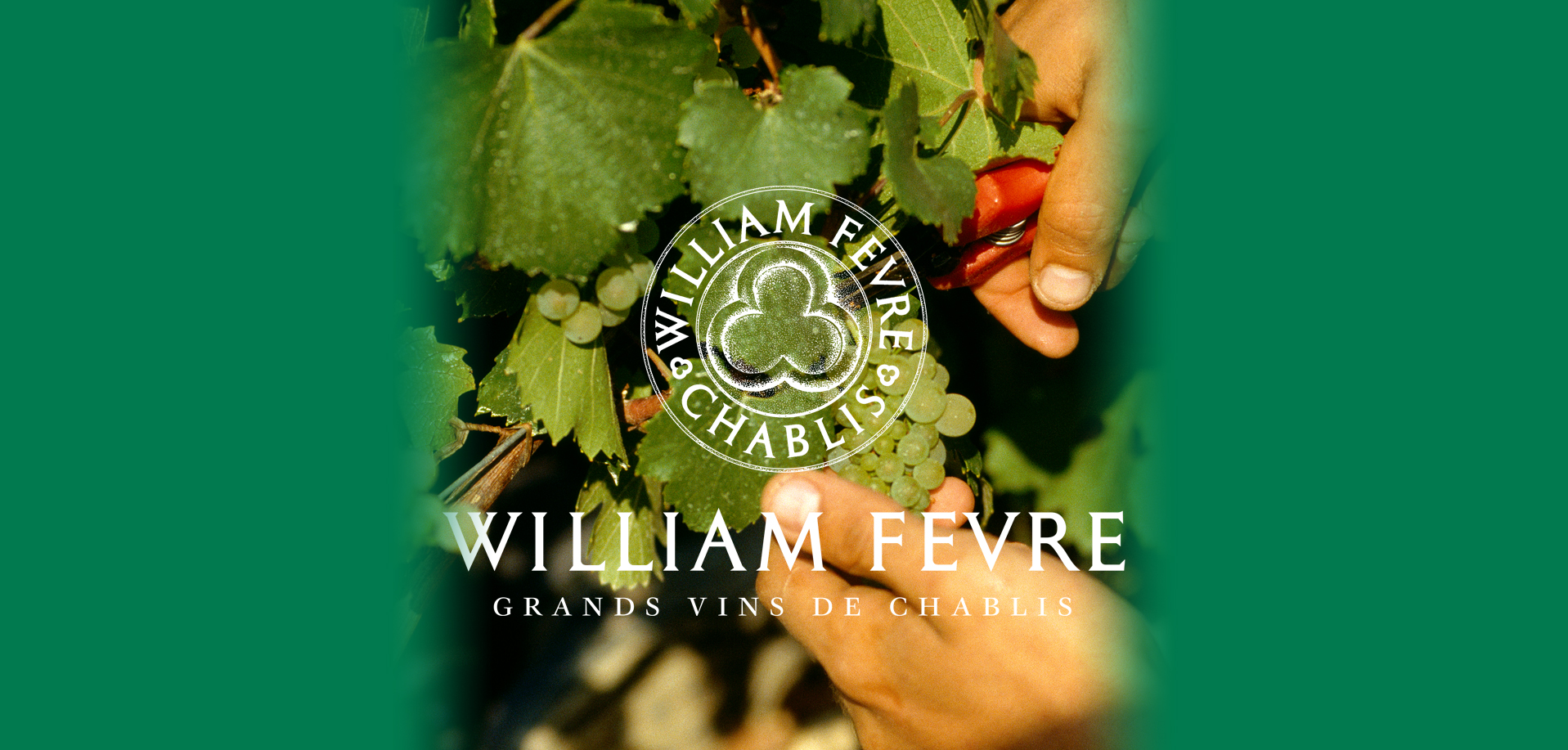 William Fevre Chablis 2019