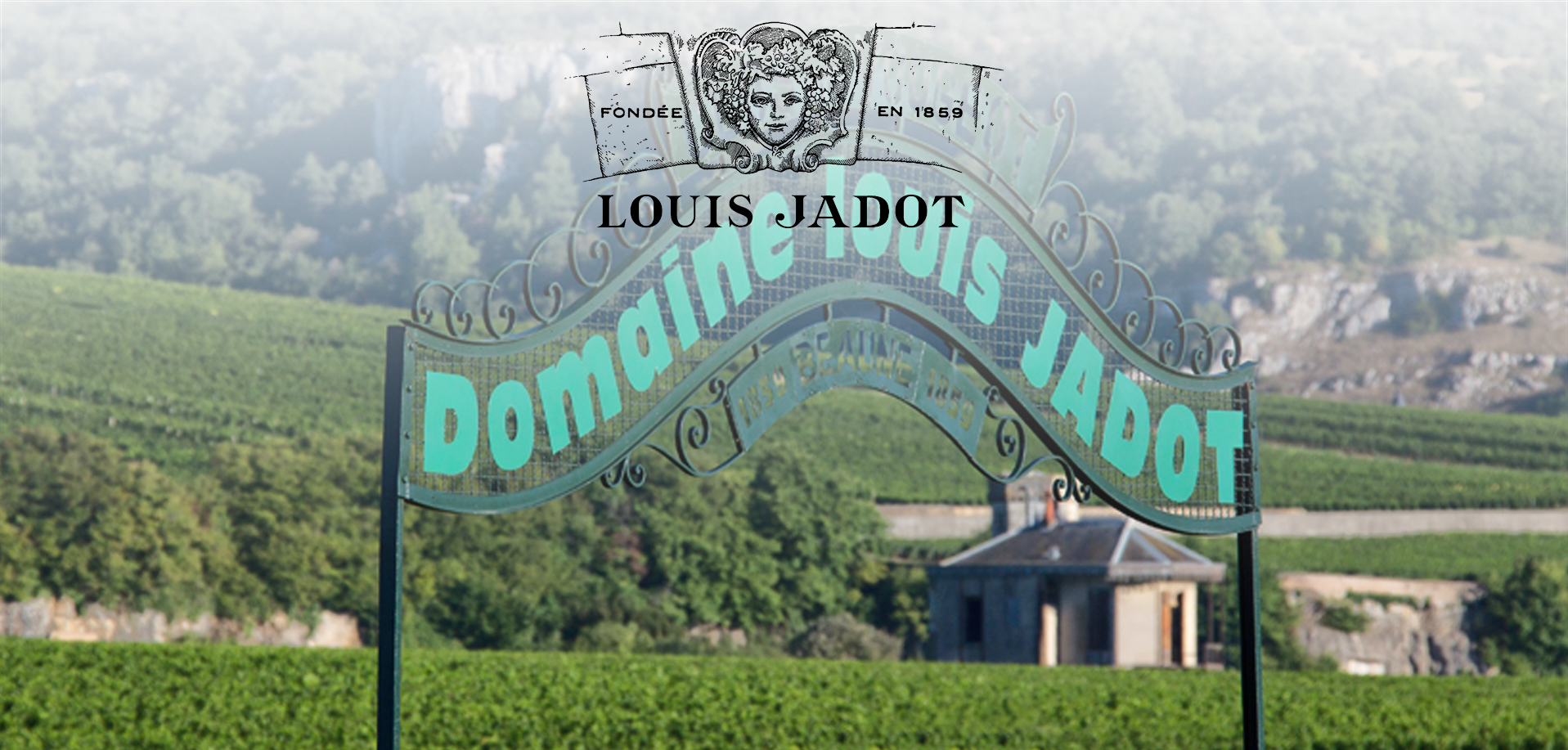 Louis Jadot 2020: Alle ingrediënten voor een onvergetelijke vintage!