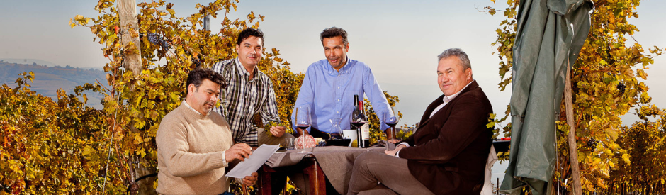 Hoge scores Tenuta Sant’Antonio bij Vinous