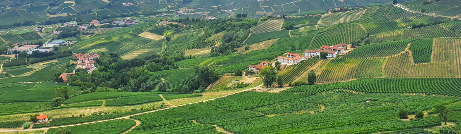 Barolo 2018