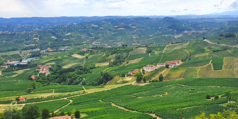 Barolo 2018: elegante en terroir gedreven Barolo’s