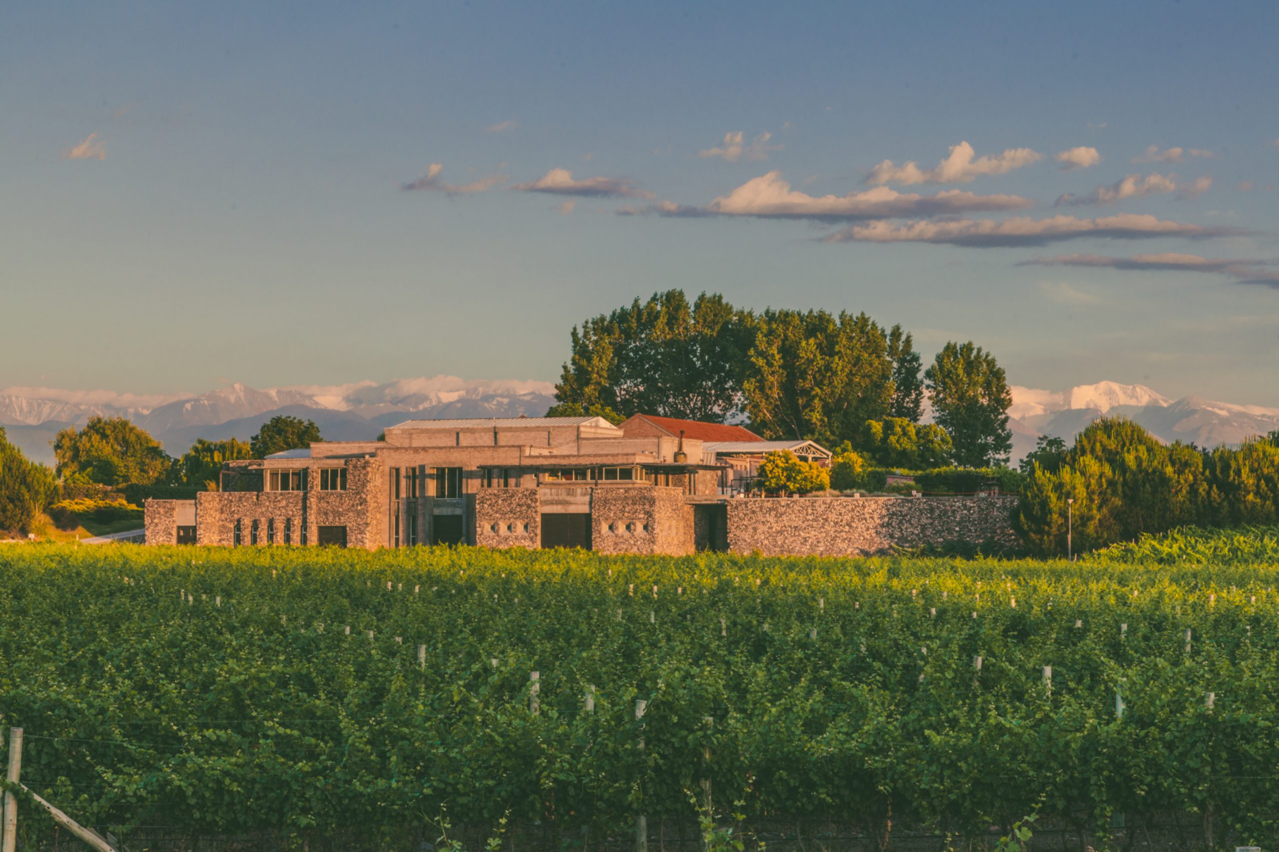 Bodegas Bianchi: 5 nieuwe wijnen in ons assortiment